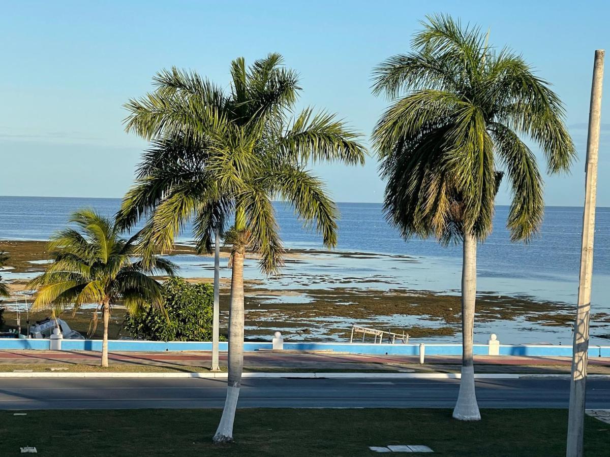 Appartamento La Casa Del Colibri Campeche Esterno foto